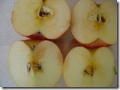 clip_image001 clip_image001