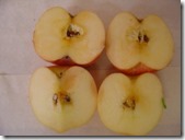 clip_image002 clip_image002